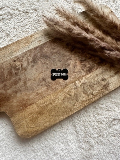 Médaillon pour chien