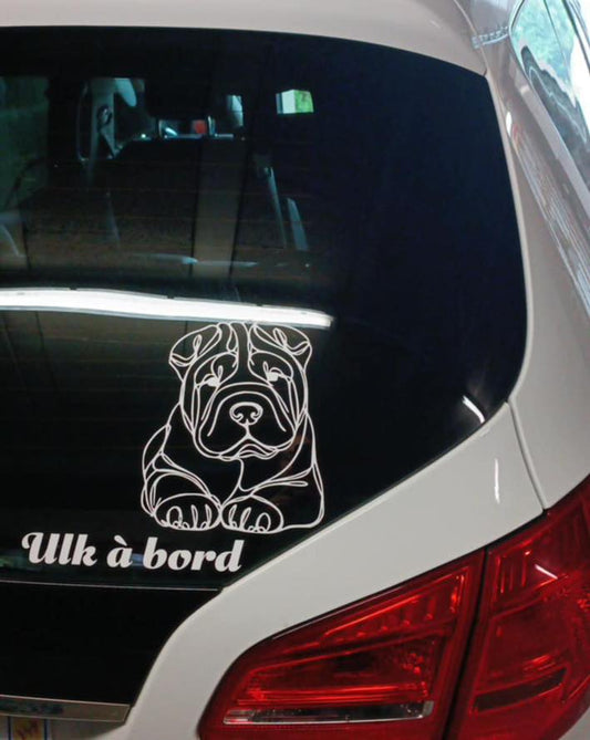 Sticker voiture